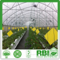 Greenhouse for tomato | tomato greenhouse